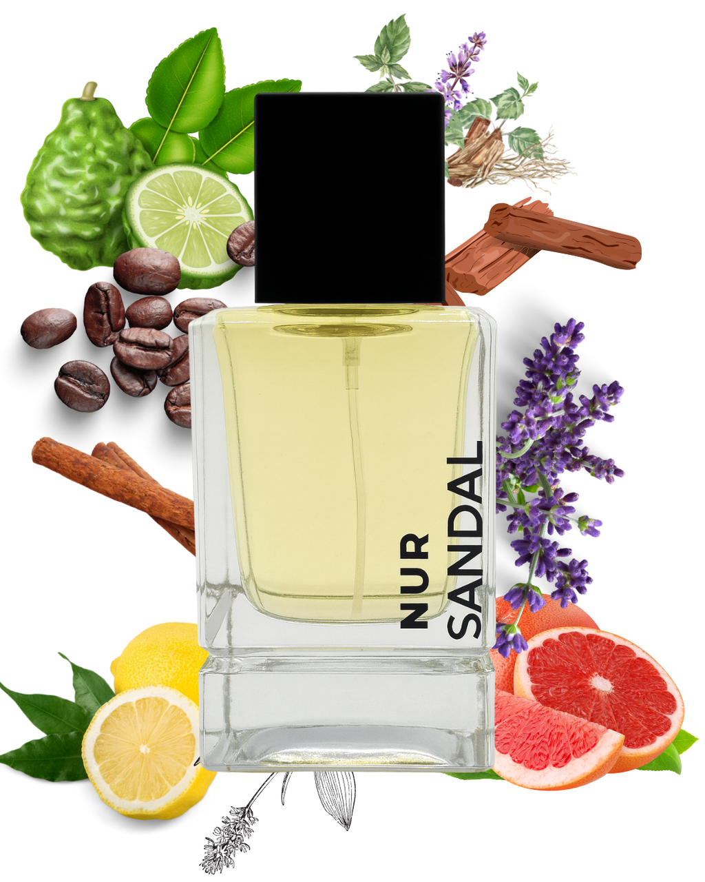 SANDALWOOD