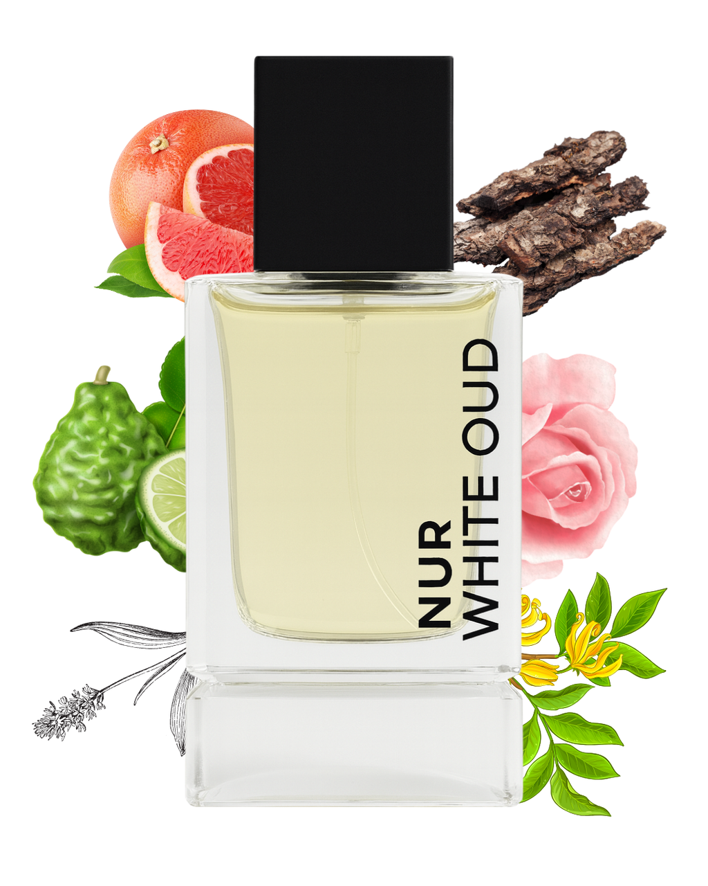 WHITE OUD